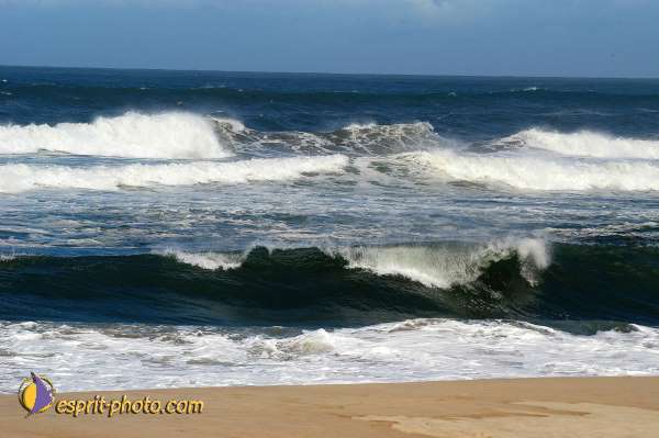 Nom de l'image : D1159804-01 — Description :  Vagues (Atlantique - Portugal - Costa do Prata)