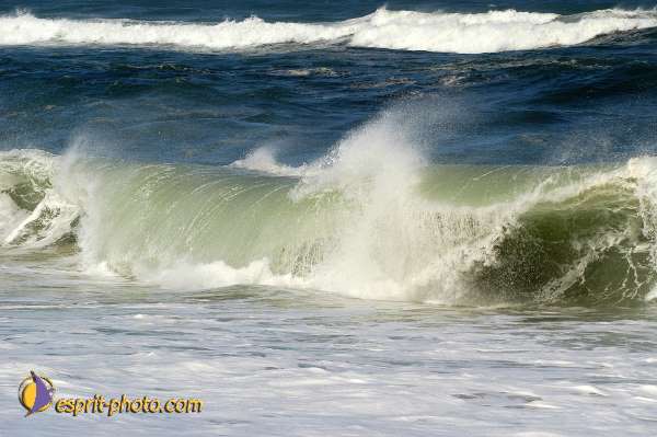 Nom de l'image : D1159816-01 — Description :  Vagues (Atlantique - Portugal - Costa do Prata)