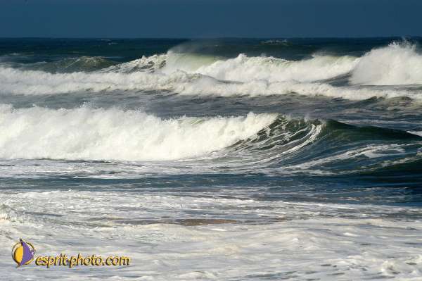 Nom de l'image : D1159821-01 — Description :  Vagues (Atlantique - Portugal - Costa do Prata)