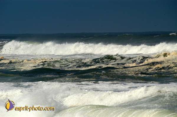 Nom de l'image : D1159831-01 — Description :  Vagues (Atlantique - Portugal - Costa do Prata)