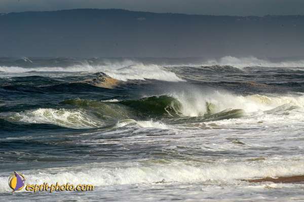 Nom de l'image : D1159833-01 — Description :  Vagues (Atlantique - Portugal - Costa do Prata)