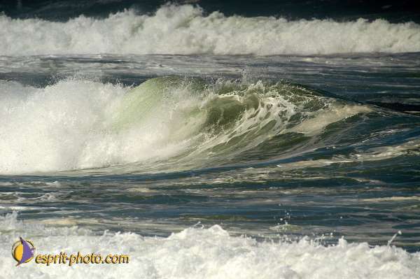 Nom de l'image : D1159894-01 — Description :  Vagues (Atlantique - Portugal - Costa do Prata)