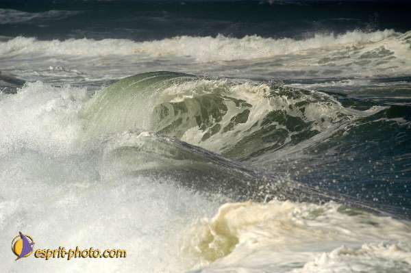 Nom de l'image : D1159916-01 — Description :  Vagues (Atlantique - Portugal - Costa do Prata)