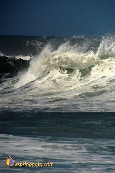 Nom de l'image : D1159969-01 — Description :  Vagues (Atlantique - Portugal - Costa do Prata)