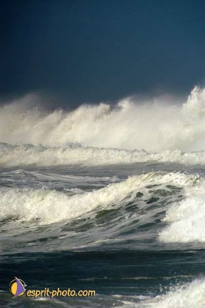 Nom de l'image : D1159973-01 — Description :  Vagues (Atlantique - Portugal - Costa do Prata)
