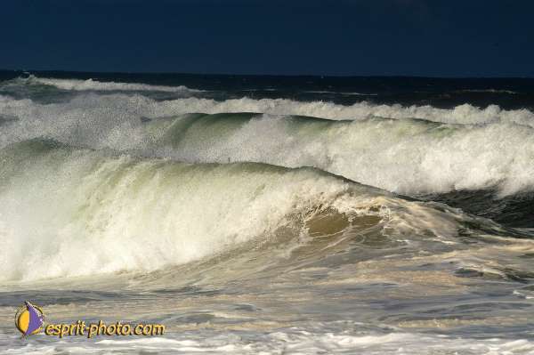 Nom de l'image : D1160002-01 — Description :  Vagues (Atlantique - Portugal - Costa do Prata)