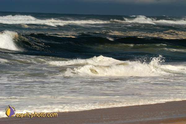 Nom de l'image : D1160063-01 — Description :  Vagues (Atlantique - Portugal - Costa do Prata)