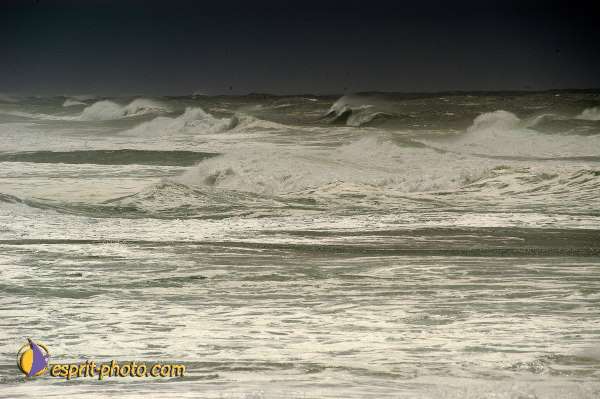 Nom de l'image : D1160241-01 — Description :  Vagues (Atlantique - Portugal - Costa do Prata)