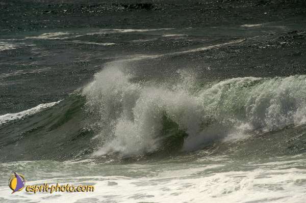 Nom de l'image : D1160249-01 — Description :  Vagues (Atlantique - Portugal - Costa do Prata)