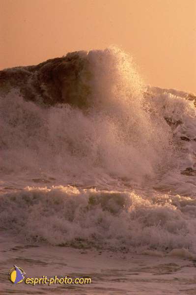 Nom de l'image : D1167293-1 — Description :  Vagues à Sabaudia (Latina-Italie)