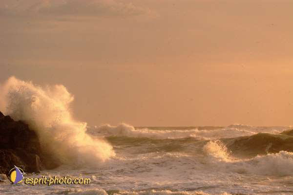 Nom de l'image : D1167528-1 — Description :  Vagues à Sabaudia (Latina-Italie)