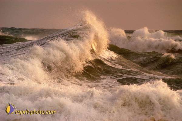 Nom de l'image : D1167572-1 — Description :  Vagues à Sabaudia (Latina-Italie)
