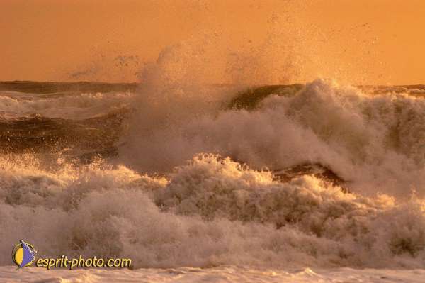 Nom de l'image : D1167589-1 — Description :  Vagues à Sabaudia (Latina-Italie)