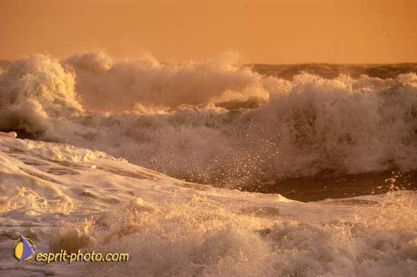 Nom de l'image : D1167598-1 — Description :  Vagues à Sabaudia (Latina-Italie)