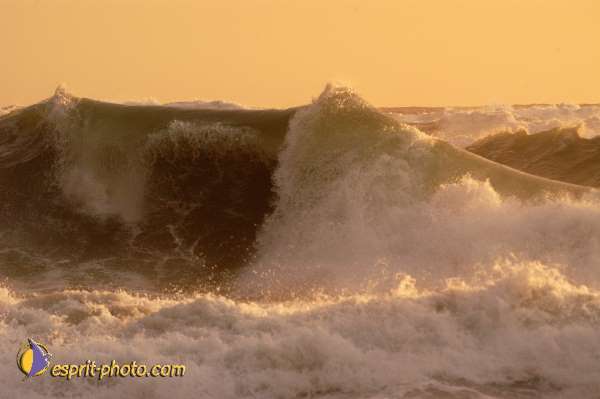 Nom de l'image : D1167609-1 — Description :  Vagues à Sabaudia (Latina-Italie)