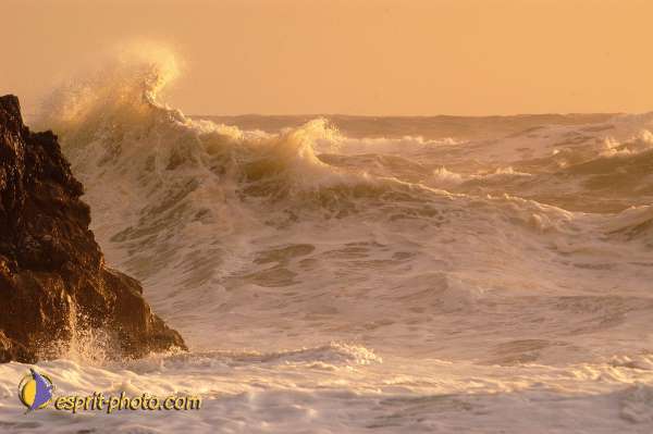 Nom de l'image : D1167621-1 — Description :  Vagues à Sabaudia (Latina-Italie)