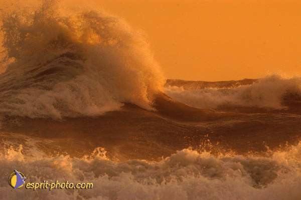 Nom de l'image : D1167791-1 — Description :  Vagues à Sabaudia (Latina-Italie)