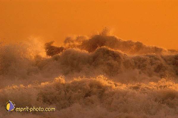 Nom de l'image : D1167802-1 — Description :  Vagues à Sabaudia (Latina-Italie)
