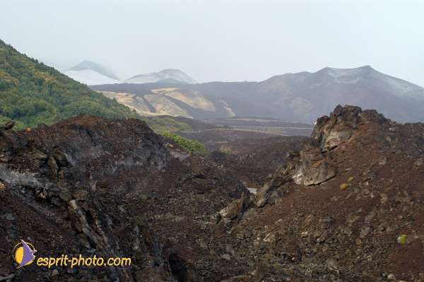 Nom de l'image : D1177748-1 — Description :  Etna - Eruption du volcan sur l'Etna en Sicile le 15/09/2005