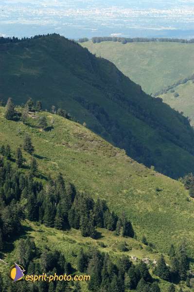 Nom de l'image : E00007810-01 — Description :