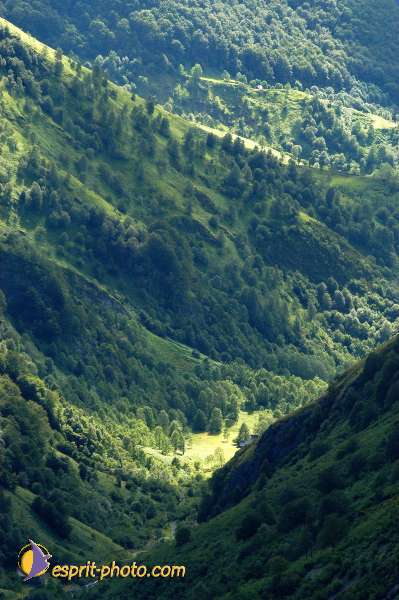 Nom de l'image : E00007813-01 — Description :