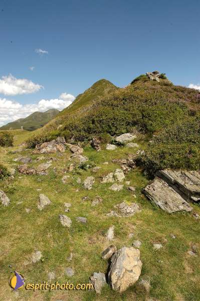 Nom de l'image : E00007820-01 — Description :