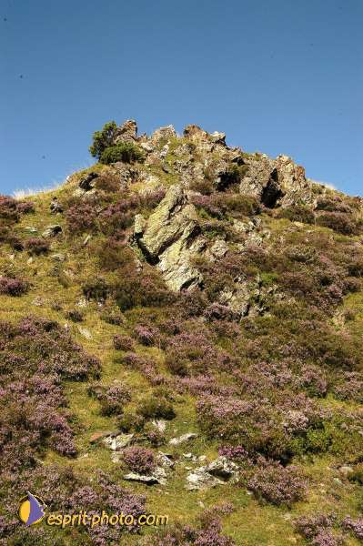 Nom de l'image : E00007821-01 — Description :