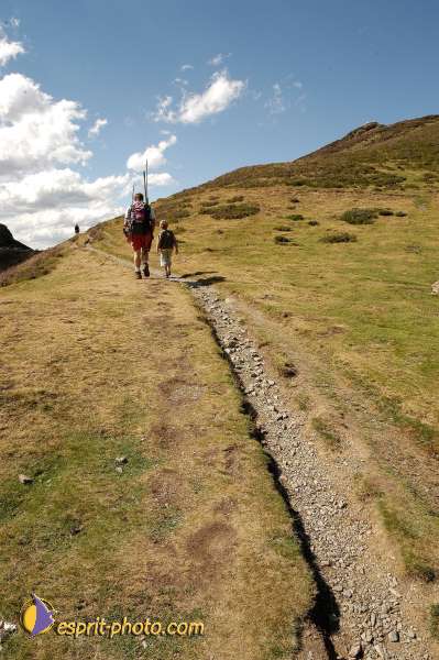 Nom de l'image : E00007849-01 — Description :