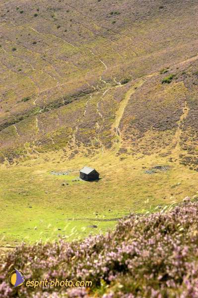 Nom de l'image : E00007894-01 — Description :