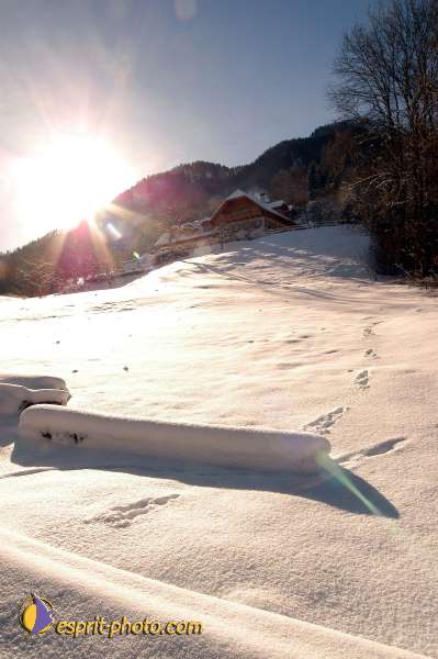 Nom de l'image : D1103942-01 — Description :