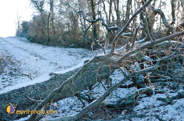 Nom de l'image : EG-Nat-12 — Description :