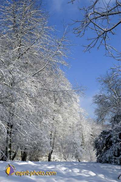 Nom de l'image : EG-Nat-541 — Description :