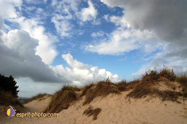 Nom de l'image : D1158748-01 — Description :  Vagues (Atlantique - Portugal - Dunes de la Costa do Prata)