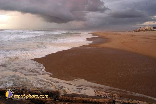 Nom de l'image : D1159167-01 — Description :  Vagues (Atlantique - Portugal - Dunes de la Costa do Prata)
