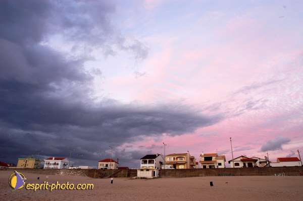 Nom de l'image : D1159210-01 — Description :  Vagues (Atlantique - Portugal - Dunes de la Costa do Prata)
