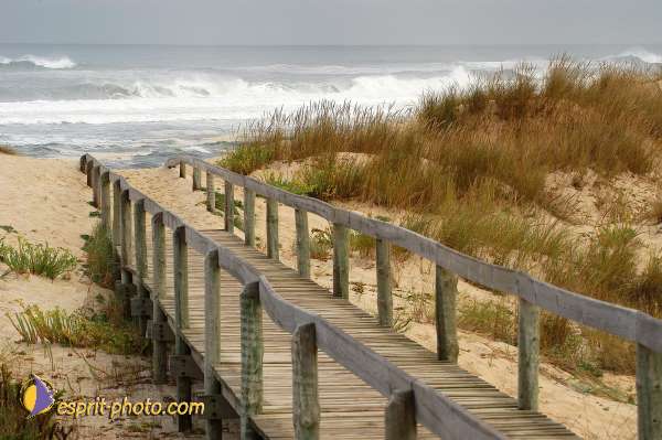 Nom de l'image : D1159238-01 — Description :  Vagues (Atlantique - Portugal - Dunes de la Costa do Prata)
