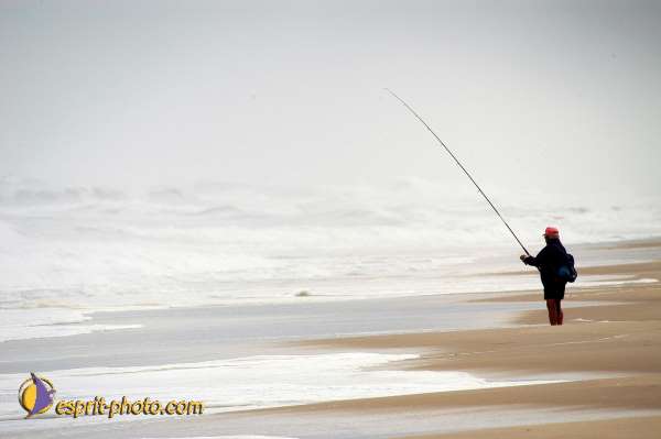 Nom de l'image : D1159409-01 — Description :  Vagues (Atlantique - Portugal - Dunes de la Costa do Prata)
