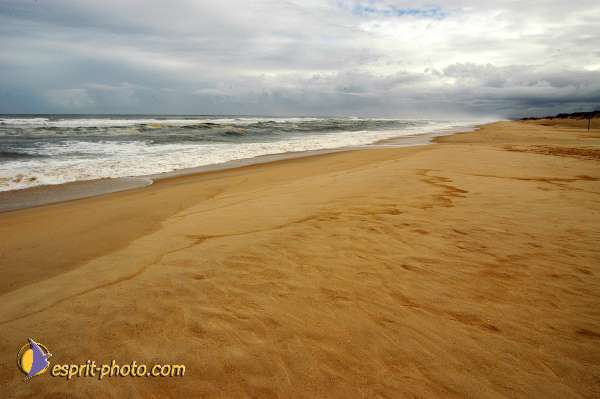 Nom de l'image : D1159534-01 — Description :  Vagues (Atlantique - Portugal - Dunes de la Costa do Prata)