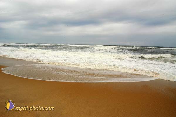 Nom de l'image : D1159576-01 — Description :  Vagues (Atlantique - Portugal - Dunes de la Costa do Prata)