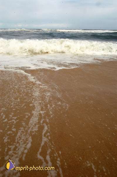 Nom de l'image : D1159601-01 — Description :  Vagues (Atlantique - Portugal - Dunes de la Costa do Prata)