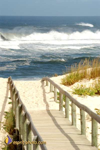 Nom de l'image : D1159791-01 — Description :  Vagues (Atlantique - Portugal - Costa do Prata)