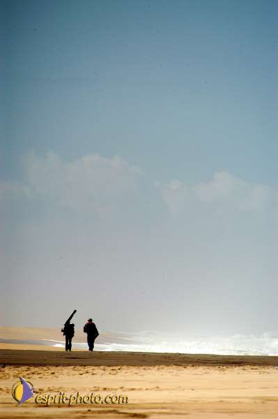 Nom de l'image : D1159860-01 — Description :  Vagues (Atlantique - Portugal - Costa do Prata)