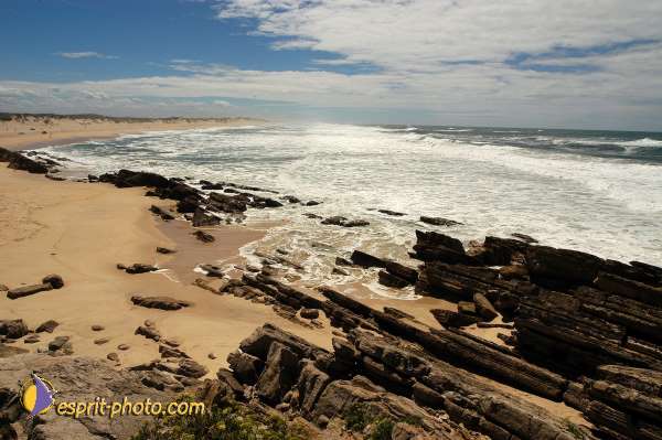 Nom de l'image : D1160149-01 — Description :  Vagues (Atlantique - Portugal - Costa do Prata)