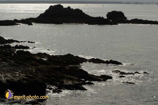 Nom de l'image : E00008735-01 — Description :