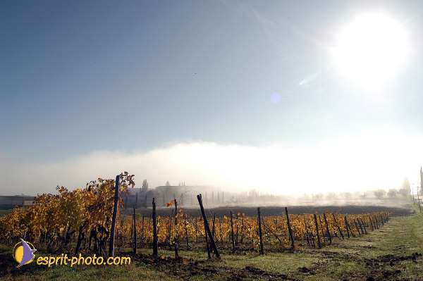 Nom de l'image : D1087144-01 — Description :