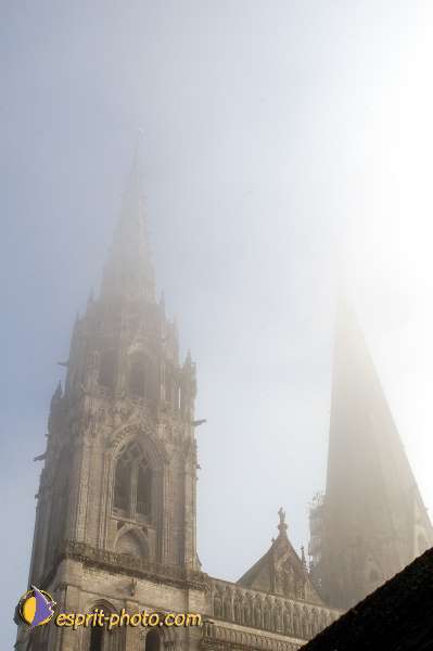 Nom de l'image : D1107464-01 — Description :