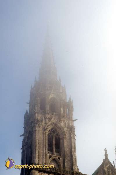 Nom de l'image : D1107465-01 — Description :