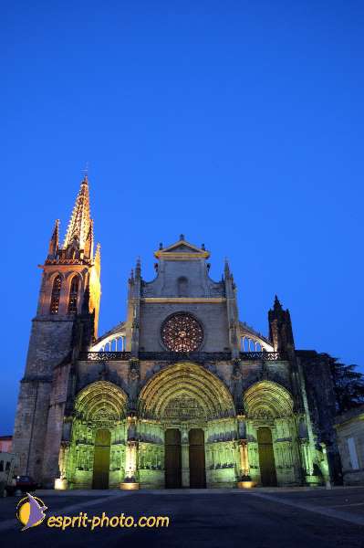 Nom de l'image : D1117673-nef-01 — Description :