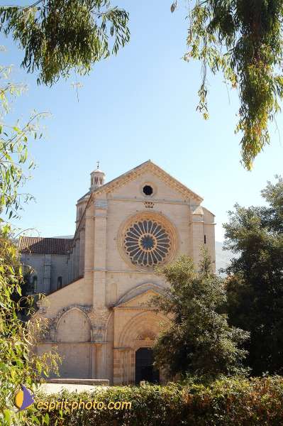 Nom de l'image : D1168702-1 — Description :  Abbaye de Fossanova (Latina-Italie) - Abbaye cistersienne