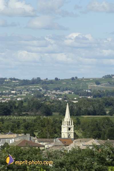 Nom de l'image : DSC_1442c — Description :